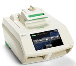 C1000_TouchݶPCR